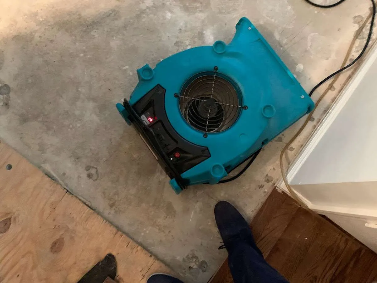 Air mover drying subfloor during Leak Detection & Repair in Berlin